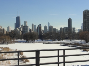 The view from the Park of the Chicago Skyline.